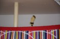 /album/divadlo-o-suchejvode/o-suchejvode-024-jpg/