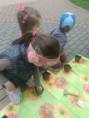 /album/sadenie-1-trieda/sadenie-10-jpg/