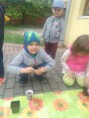 /album/sadenie-1-trieda/sadenie-16-jpg/