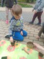 /album/sadenie-1-trieda/sadenie-18-jpg/