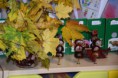 /album/tvorive-dielne-jesen1/dsc-0111-jpg/